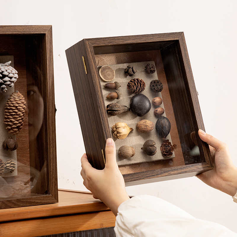 Decorative Nature Collection