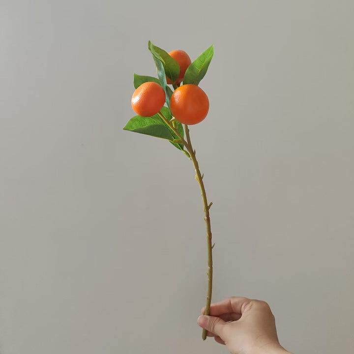 Decorative Orange Fruit Stem