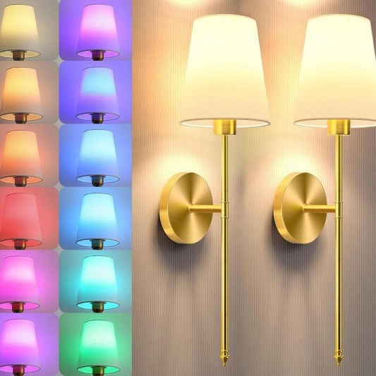 Elegant Minimalist Wall Sconce