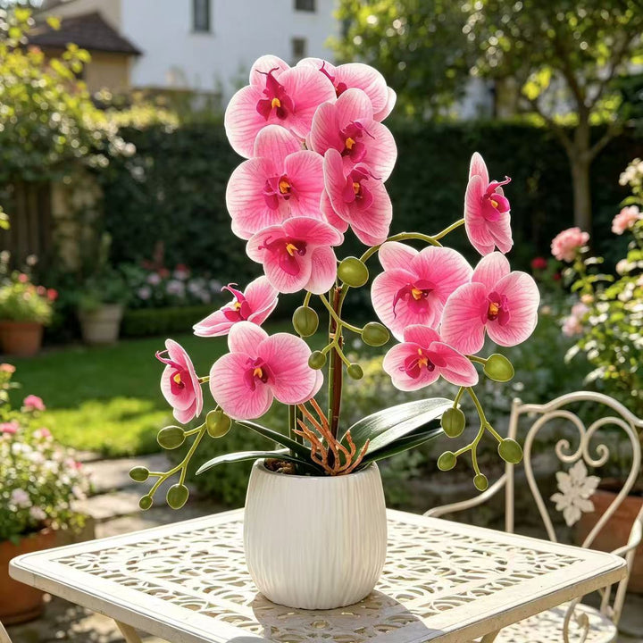 Realistic Orchid Floral Arrangement