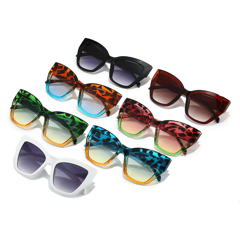 Women's Fashion Sunglasses in Trendy Tortoiseshell Design Stornfield