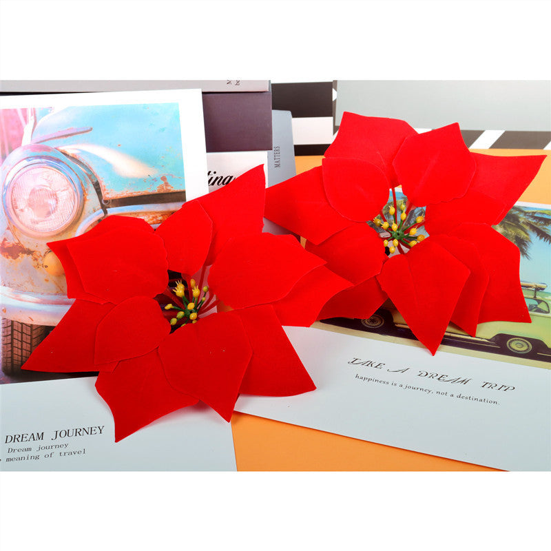 Decorative Poinsettia Plant Arrangement Stornfield