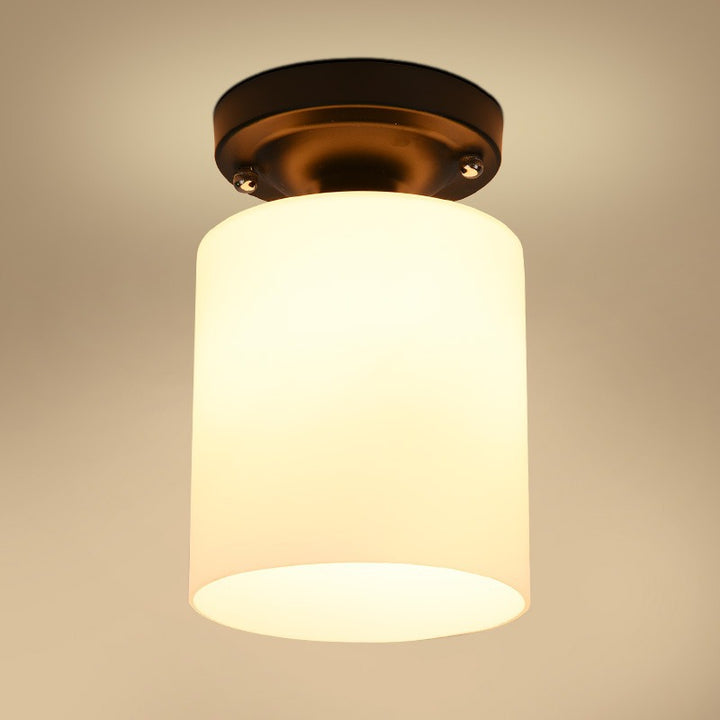 Modern Flush Mount Ceiling Light