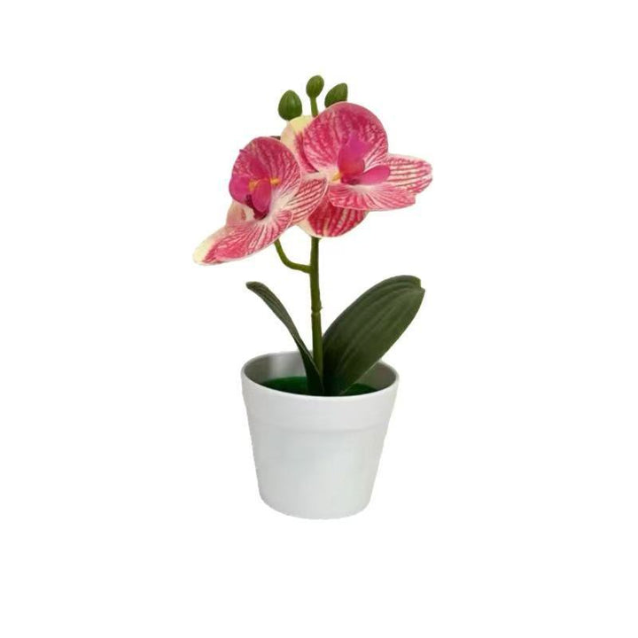 Artificial Orchid Plant for Decorative Home Display and Styling