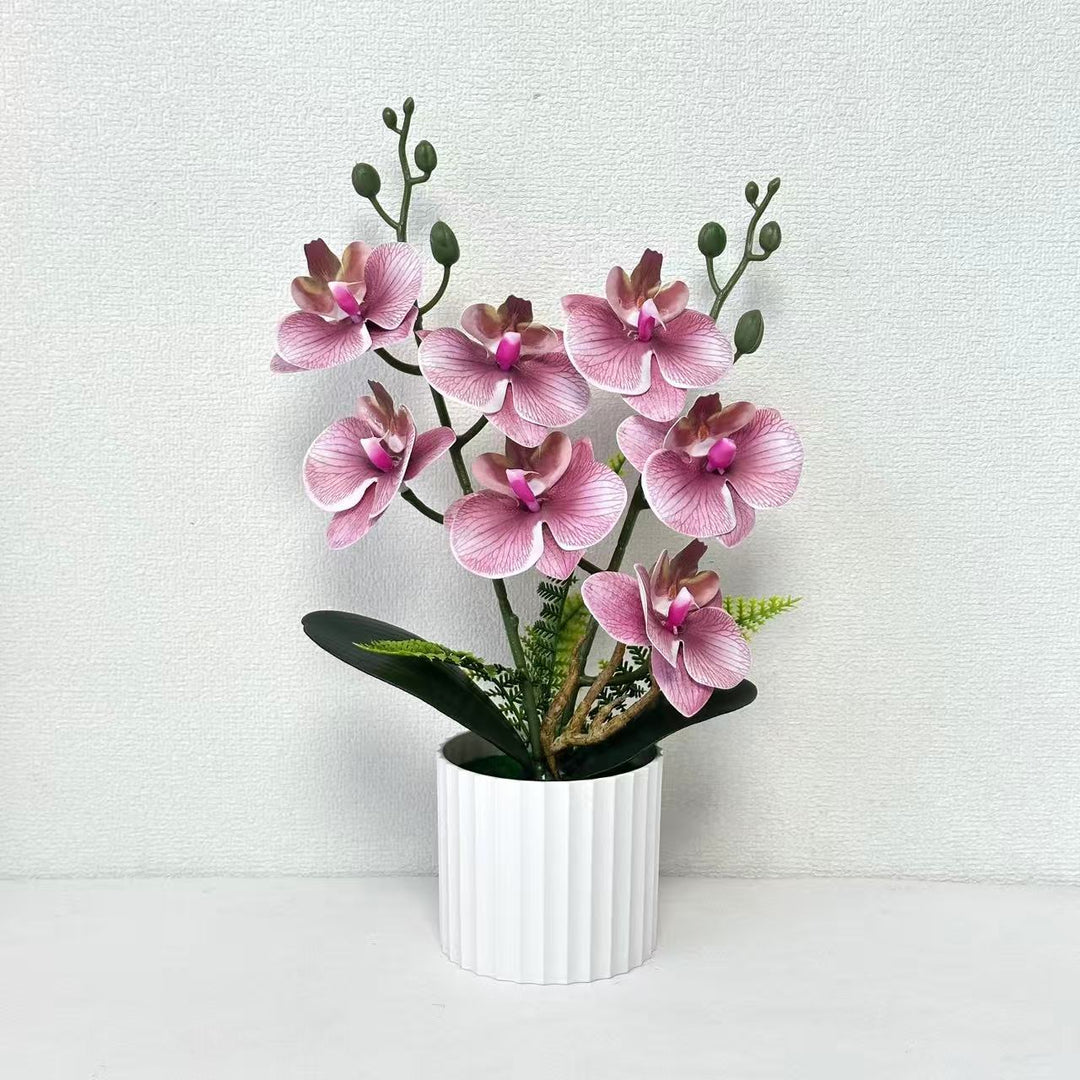 Realistic Orchid Plant Arrangement