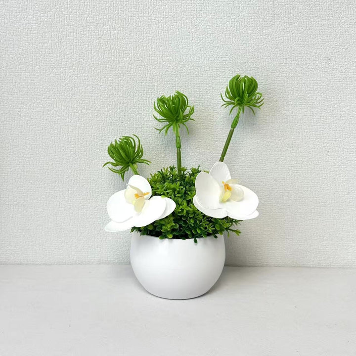 Decorative Orchid and Green Plant Arrangement