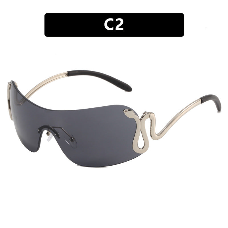 Ladies futuristic sunglasses with elegant swan design Stornfield