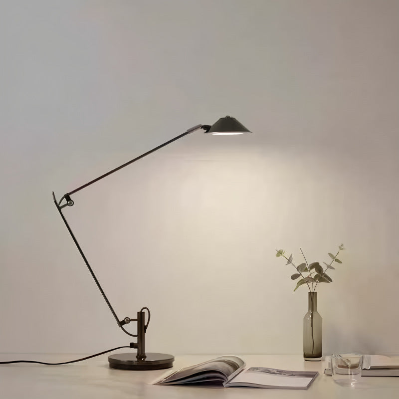 Adjustable Task Lighting Desk Lamp