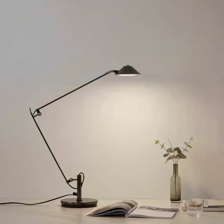 Adjustable Task Lighting Desk Lamp