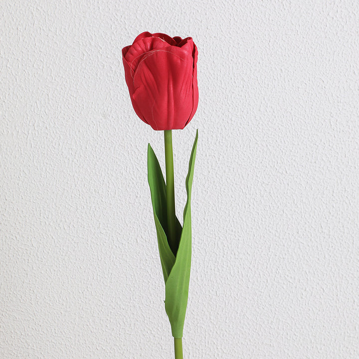 Decorative Art Tulip
