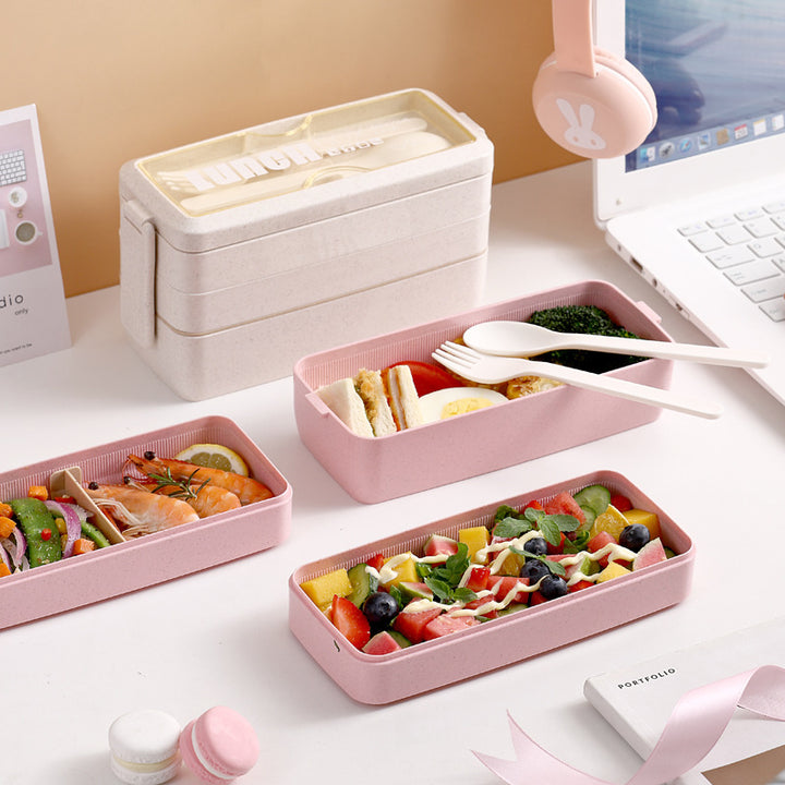 Durable Multi-Tier Lunch Box
