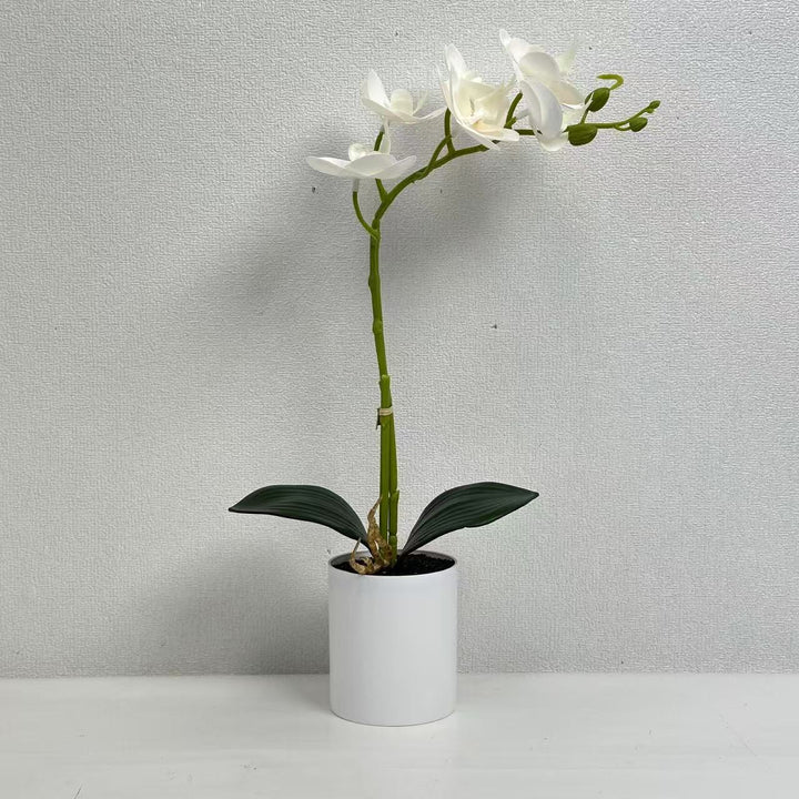 Realistic Artificial Orchid Stem