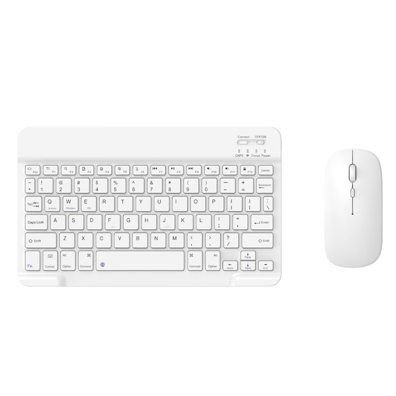 Ergonomic Wireless Gaming Mouse with RGB Lights Stornfield