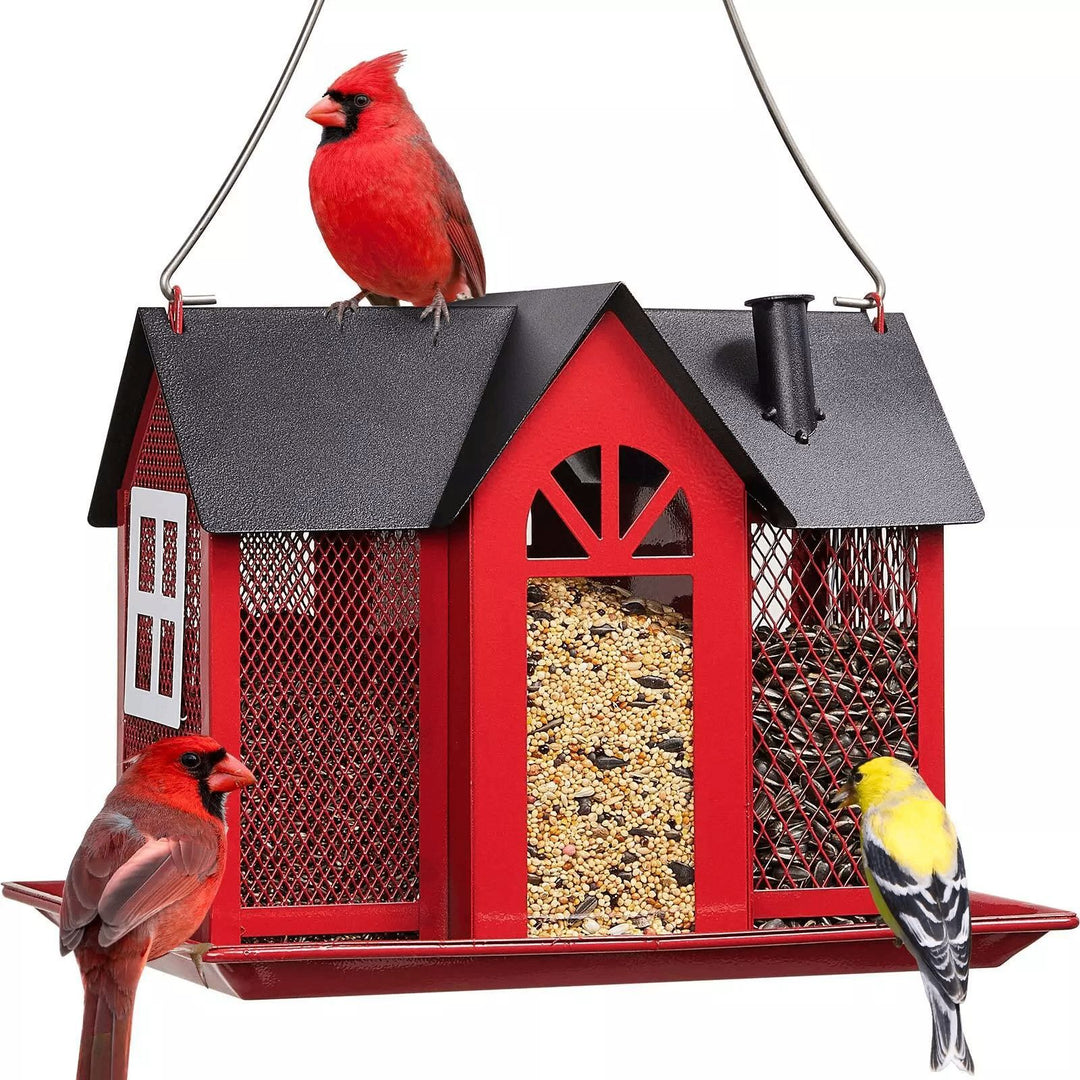 Bird feeder Stornfield
