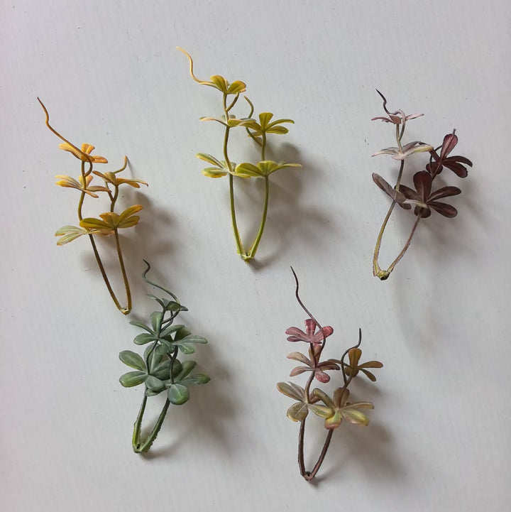 Decorative Succulent Arrangement