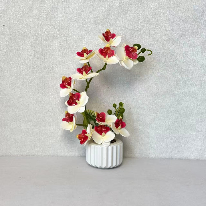 Elegant Orchid Floral Arrangement