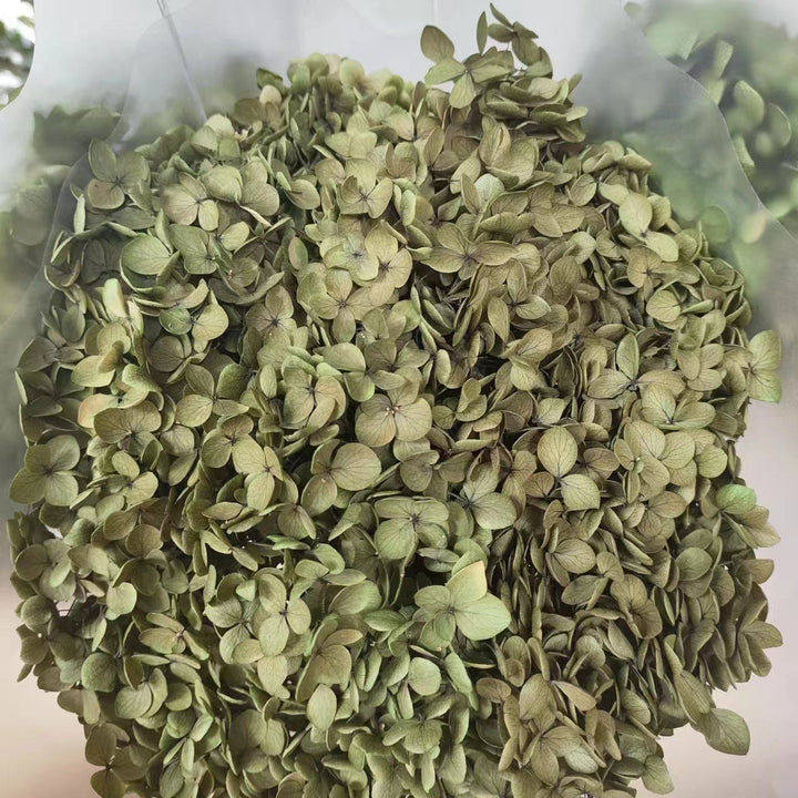 Dried Floral Petals