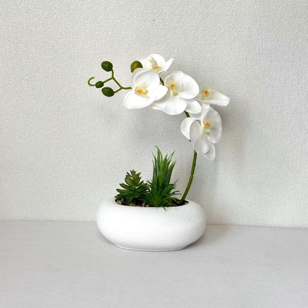 Elegant Orchid and Succulent Planter