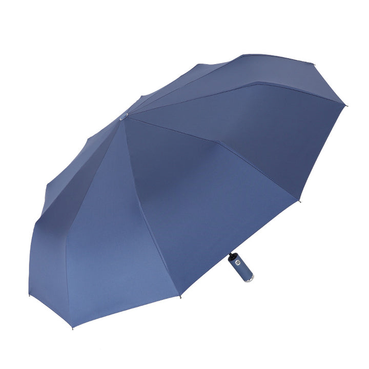 Ladies Automatic Open and Close Umbrella with Long Handle Stornfield