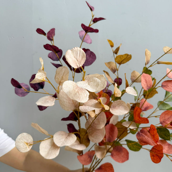 Elegant Decorative Eucalyptus Branch
