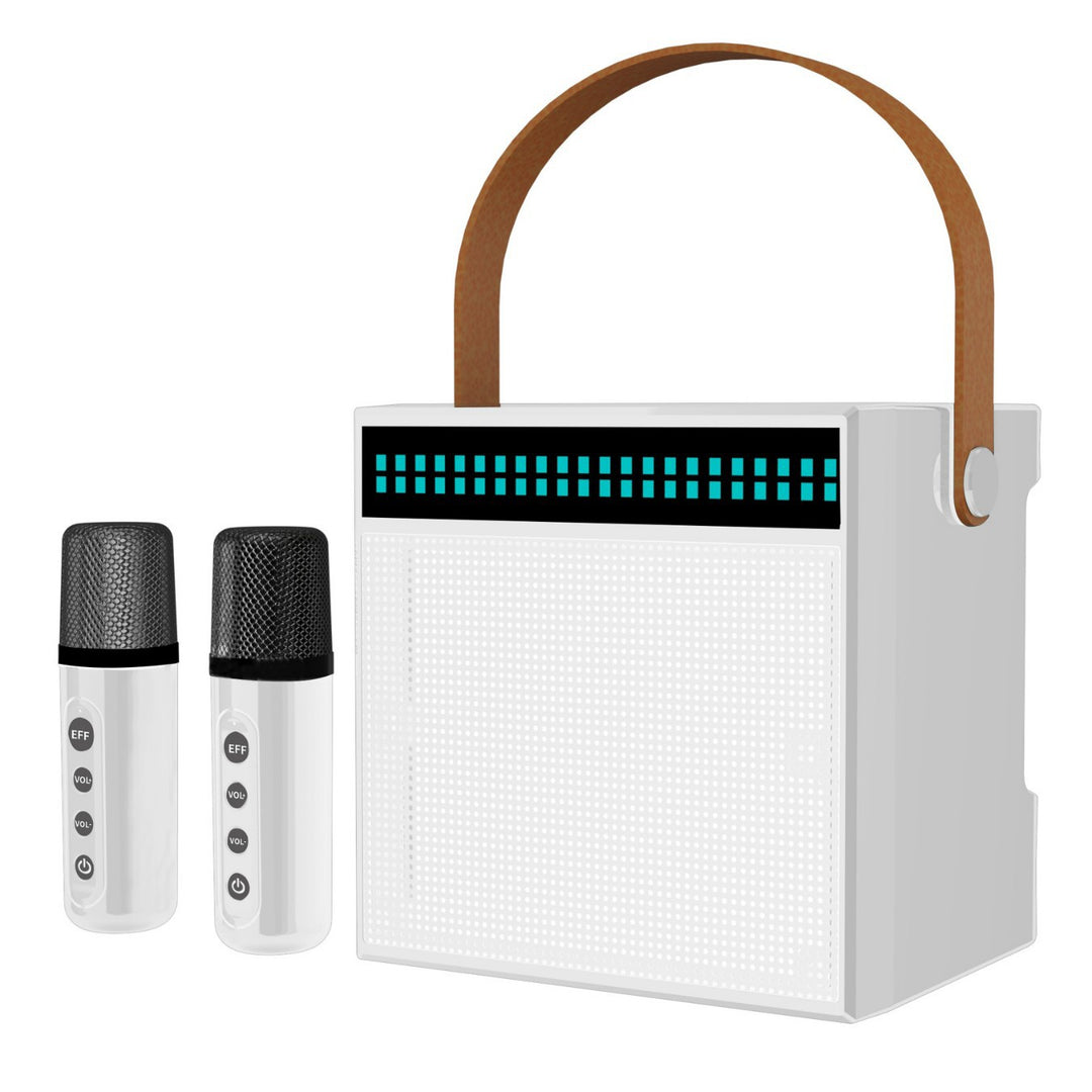 Portable Karaoke System with Dual Microphones Stornfield