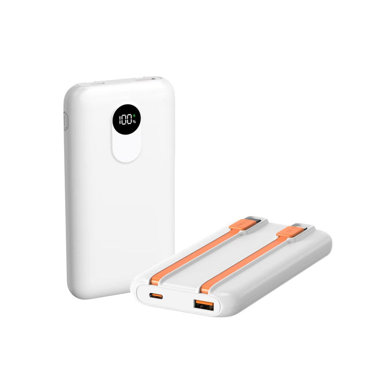 Powerbank with Intelligent Charger Stornfield
