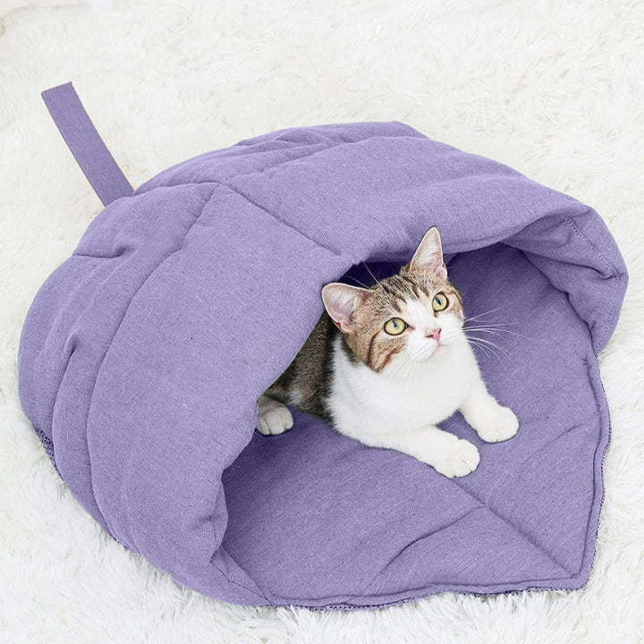 Cozy cat cave Stornfield