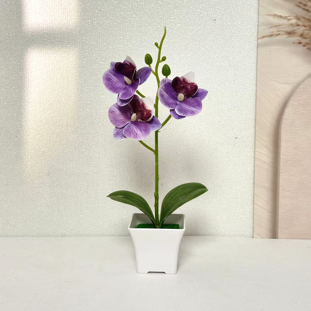 Artificial Orchid Arrangement for Home and Office Decor