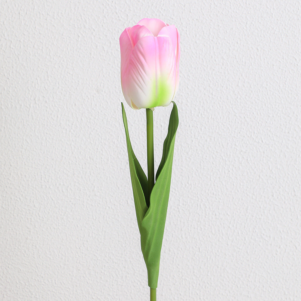 Decorative Art Tulip