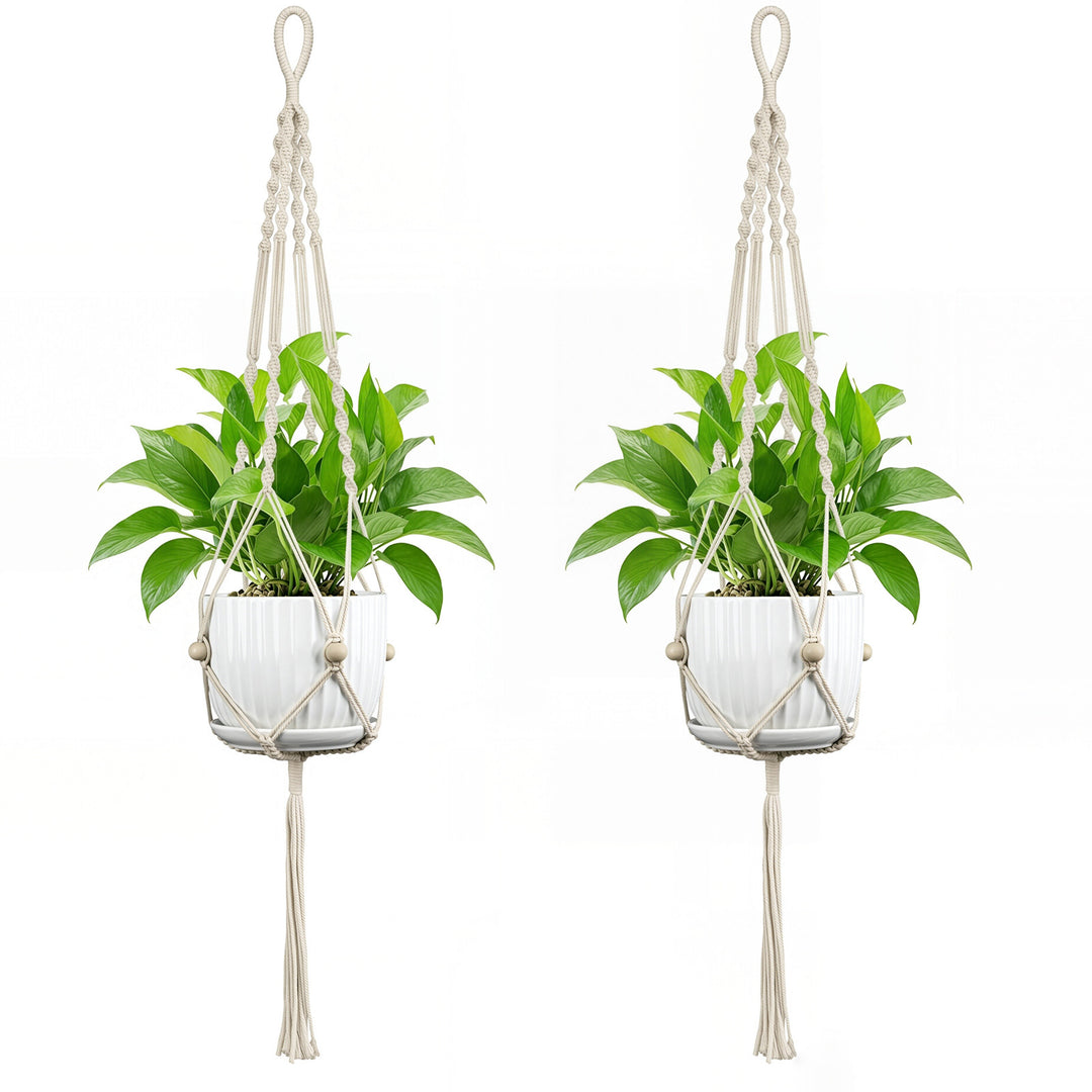 Plant Hanging Pot Stornfield