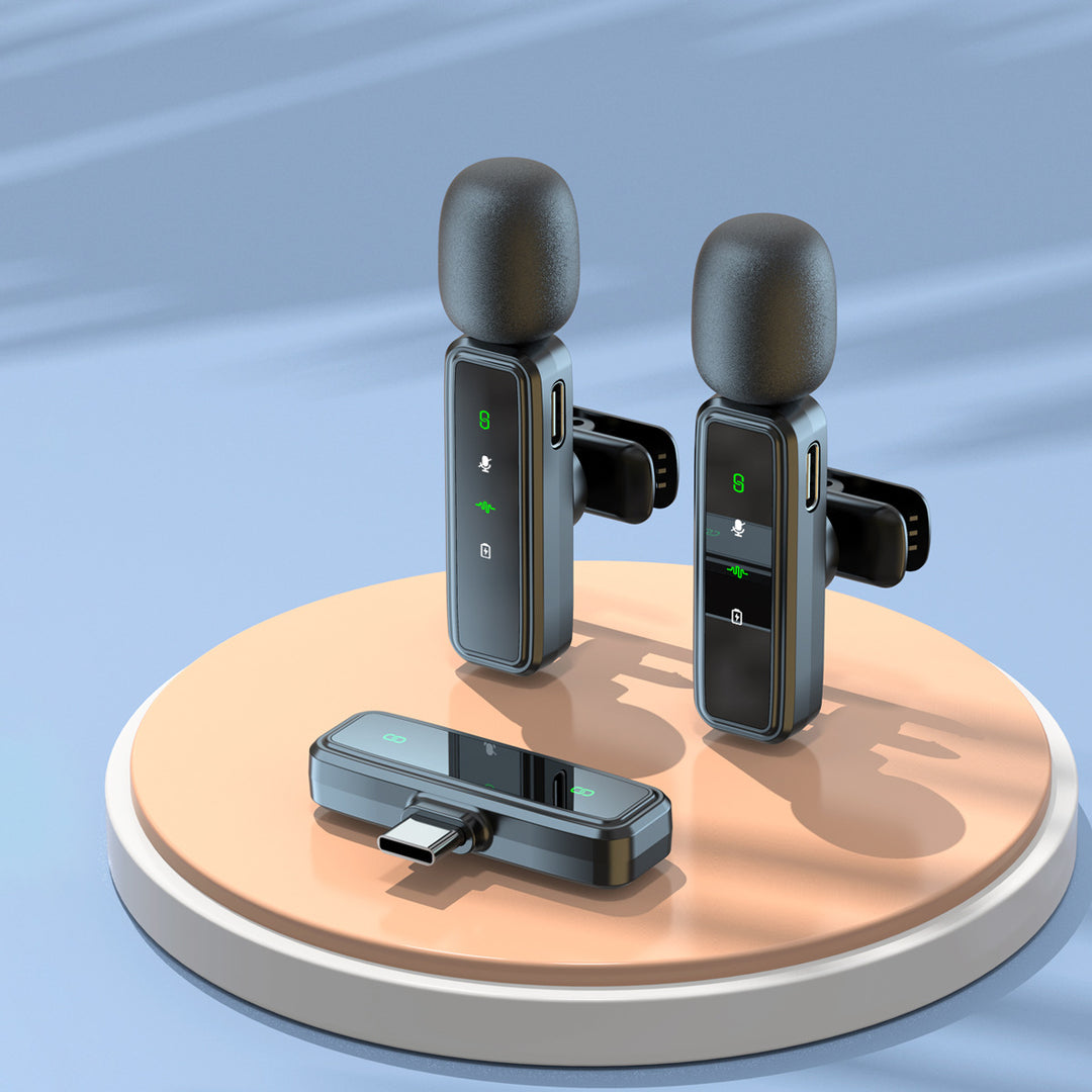 Wireless Microphone System Stornfield