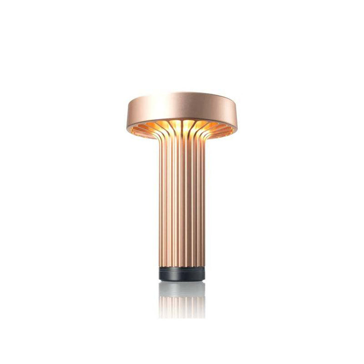 Contemporary Decorative Table Lamp