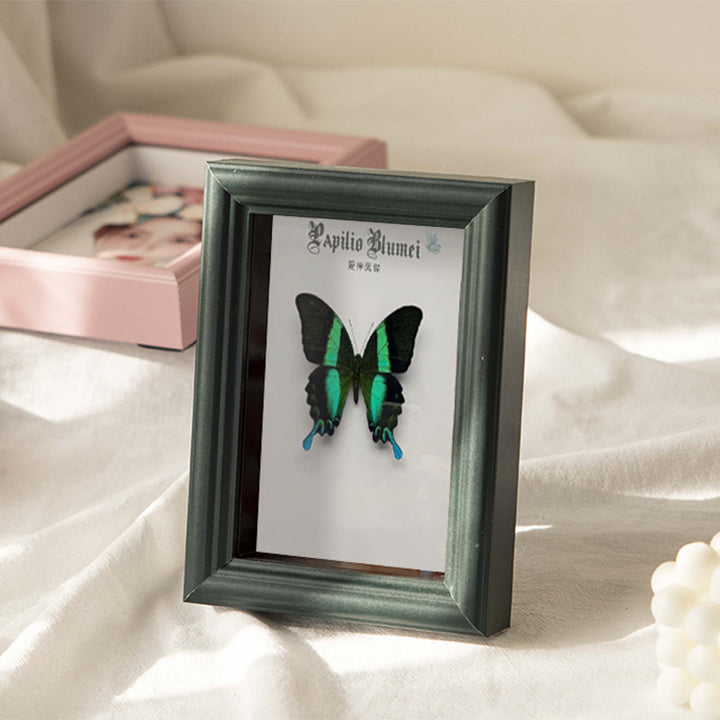 Decorative Butterfly Art Frame for Home Decor