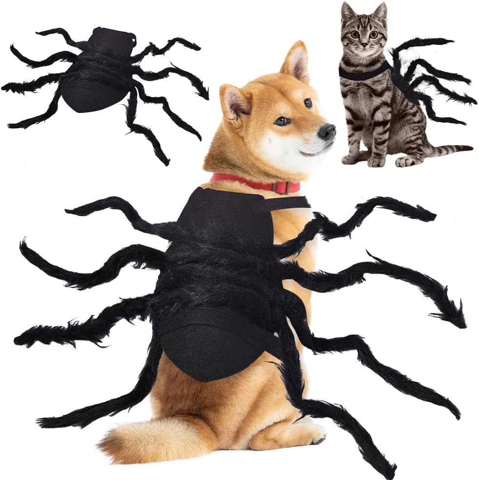 Costume headband with eight-legged plush spider and elastic headband