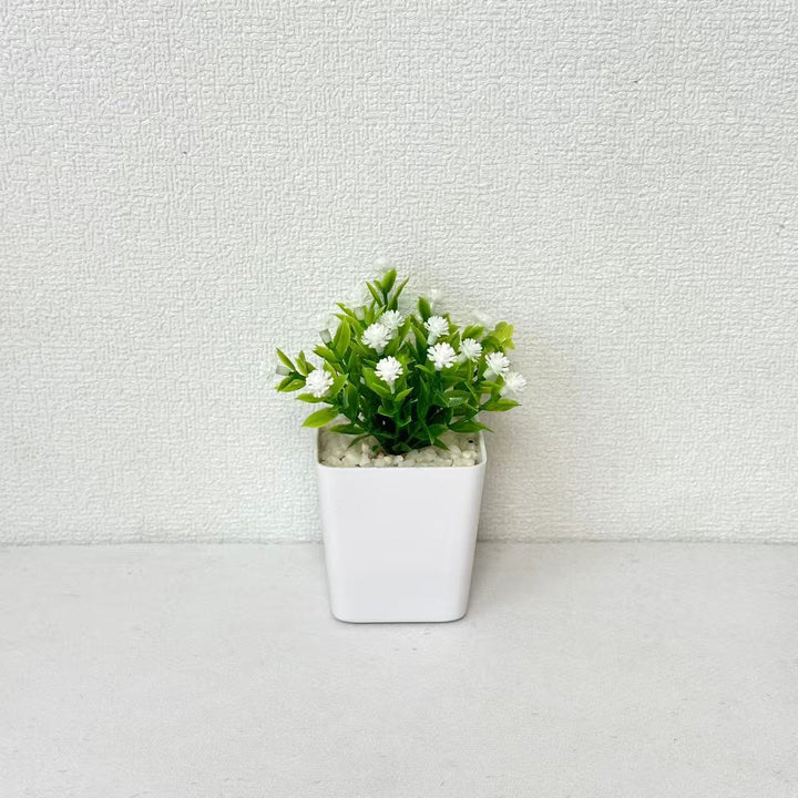 Decorative Mini Potted Plant Arrangement