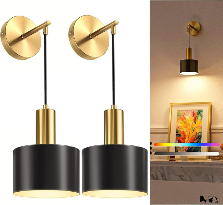 Adjustable Hanging Pendant Light