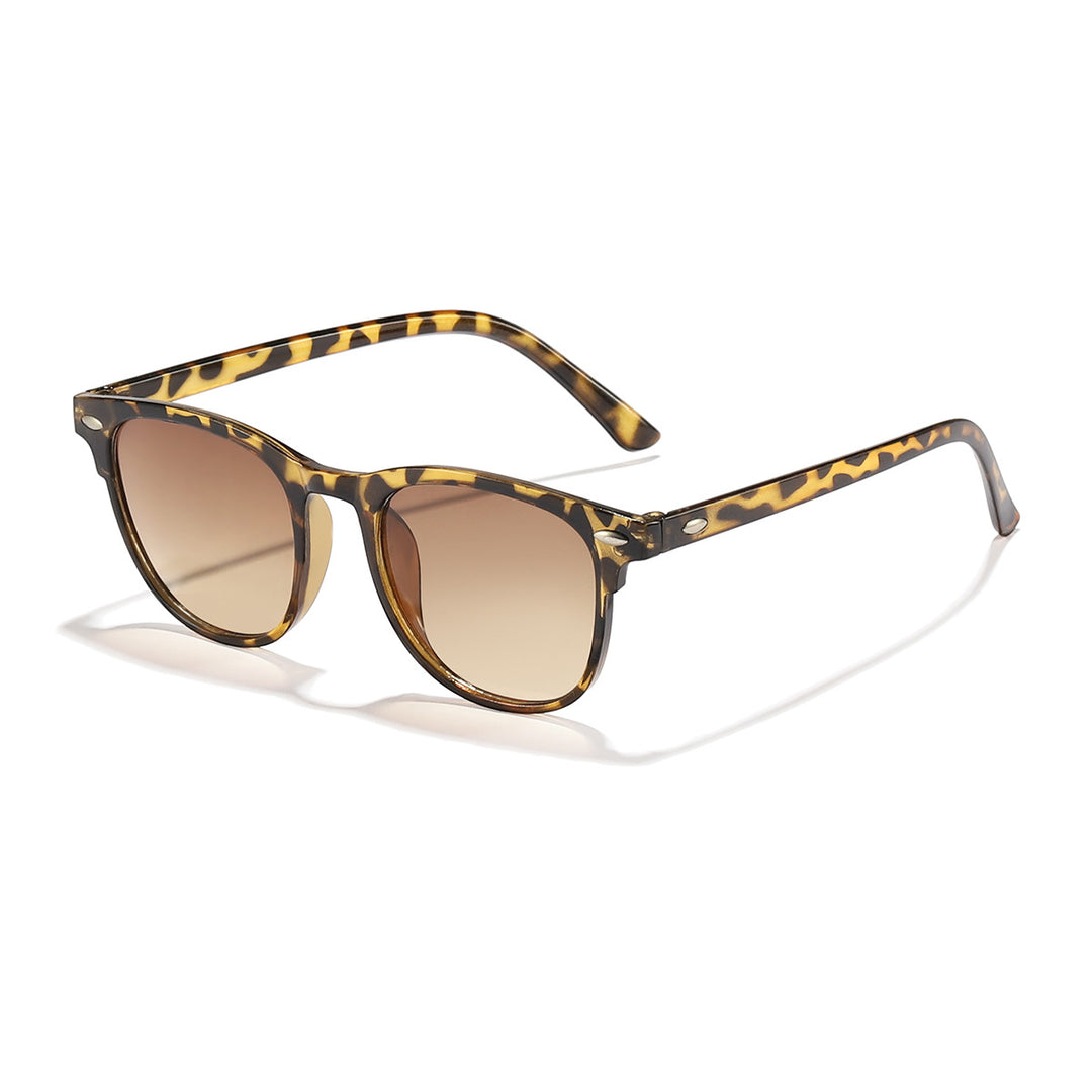Ladies trendy Transparent Sunglasses Stornfield