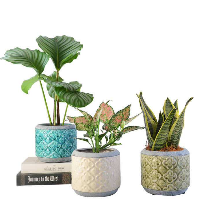 Flower pot Stornfield