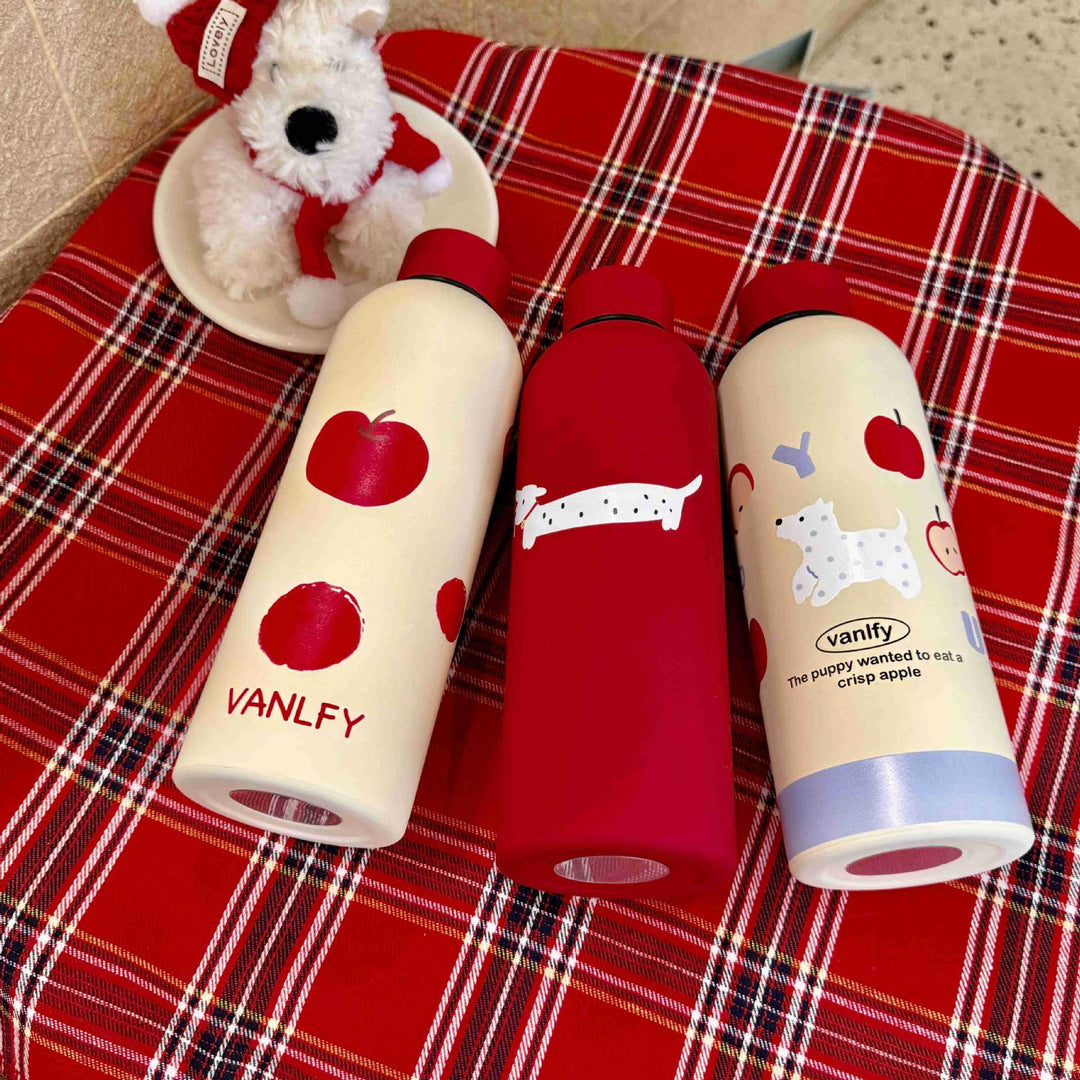 Ladies insulated and stylish drinking bottle Stornfield