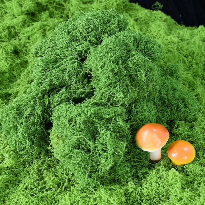 Decorative Greenery Moss Arrangement