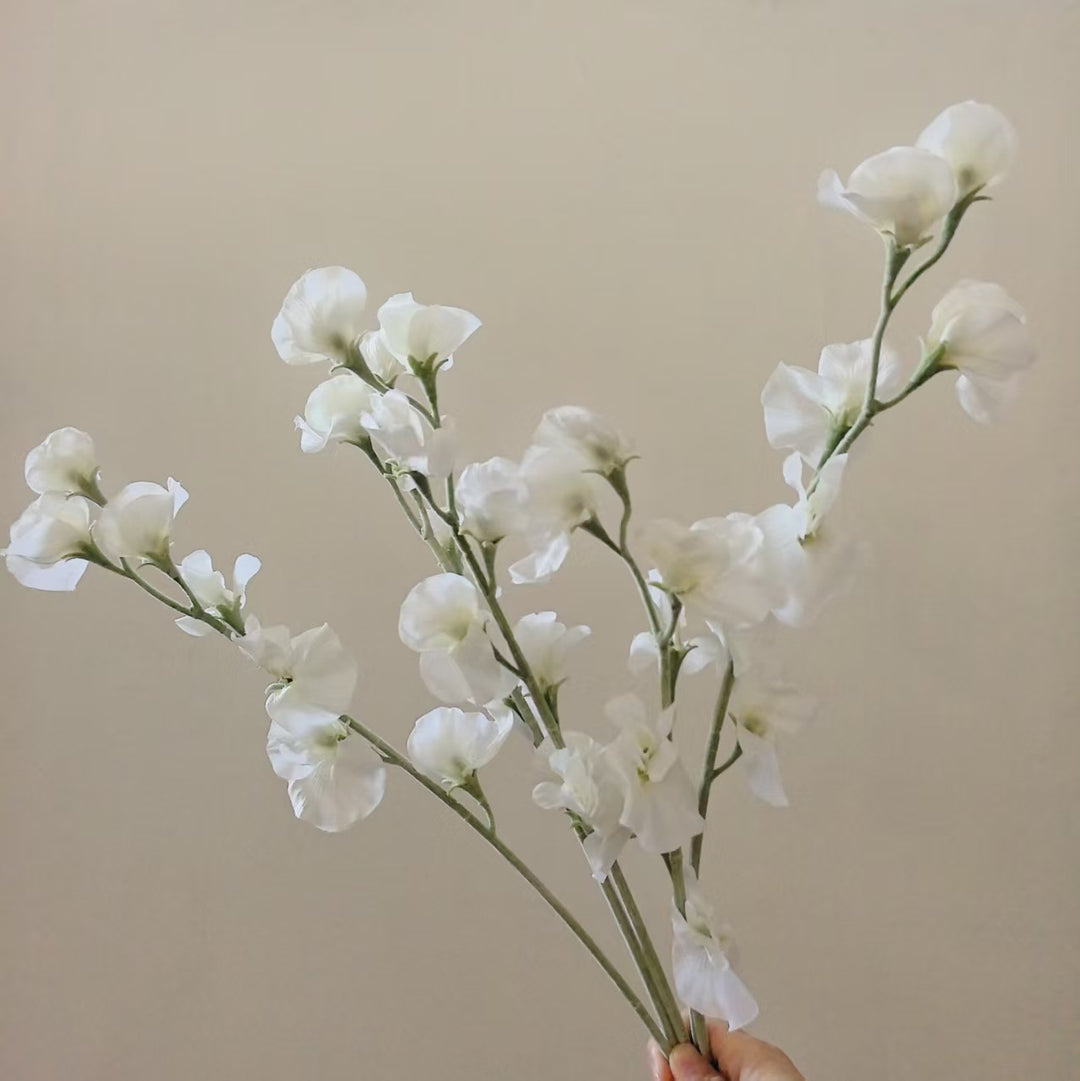 Elegant Silk Sweet Pea Stem