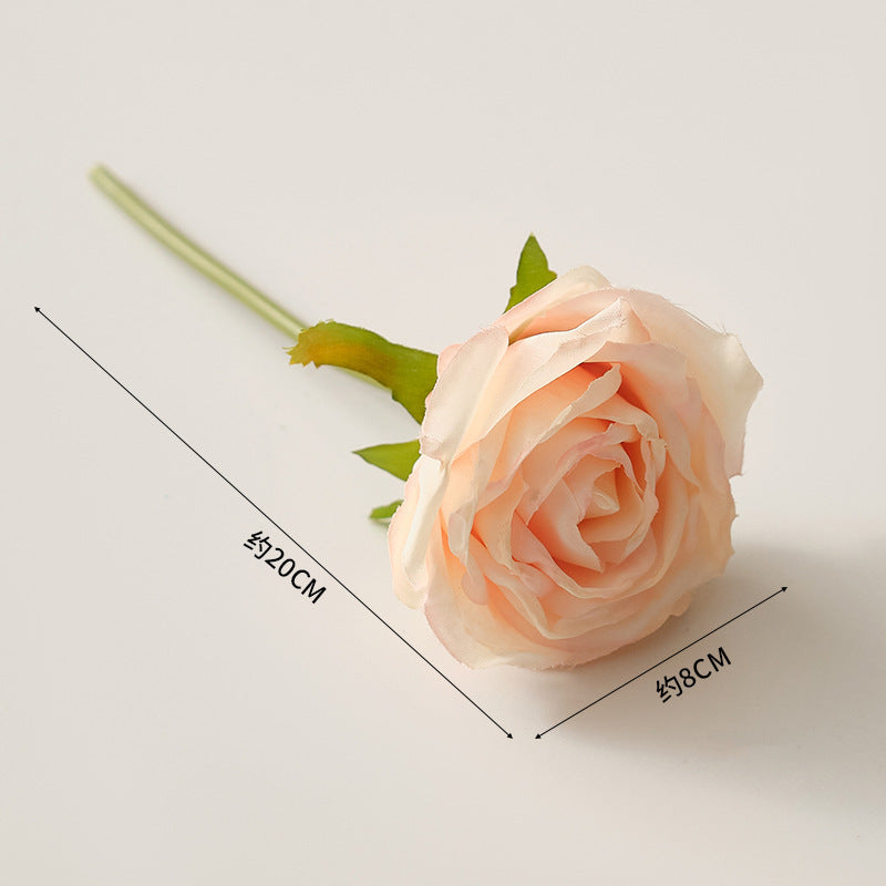 Geometric Table Plant Holder