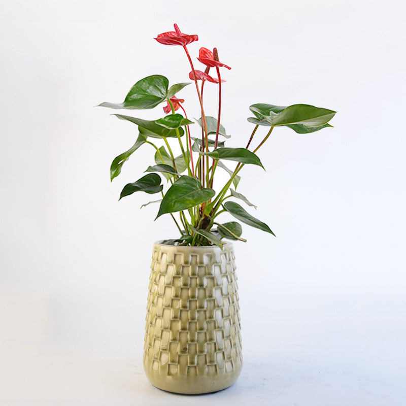 Decorative Flower Pots Stornfield