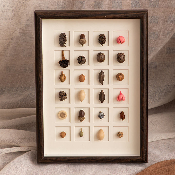 Botanical Specimen Display Frame