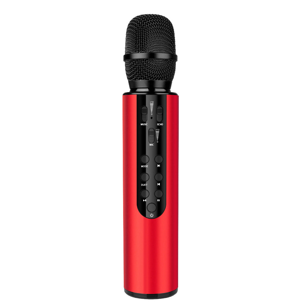 Wireless Karaoke Microphone with Echo Control Stornfield