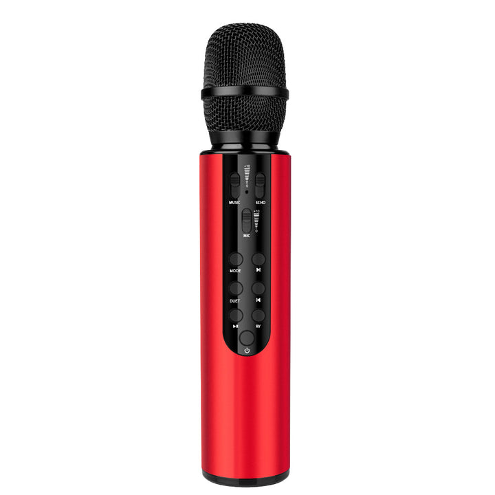 Wireless Karaoke Microphone with Echo Control Stornfield