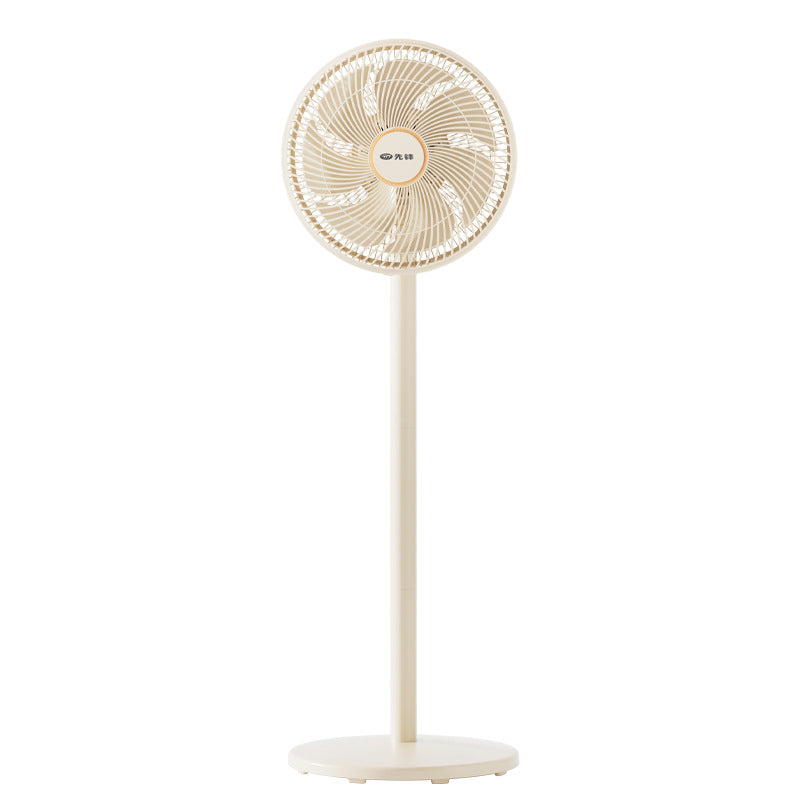 Ladies Stand Fan Stornfield