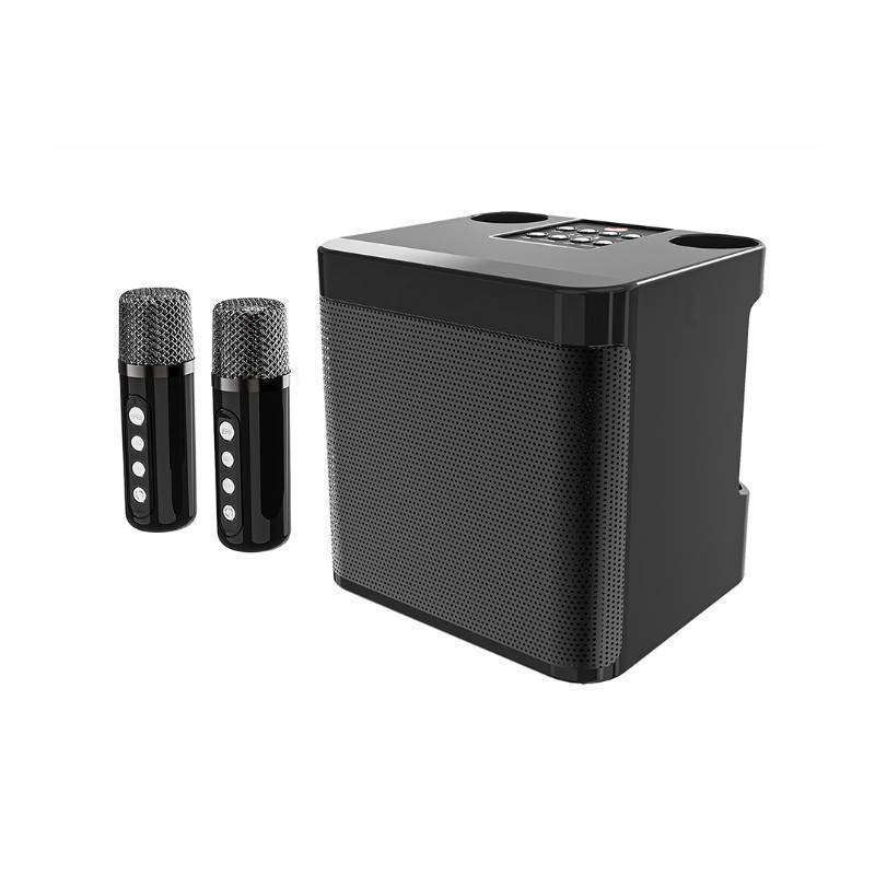 Wireless Karaoke Speaker System with Dual Microphones Stornfield
