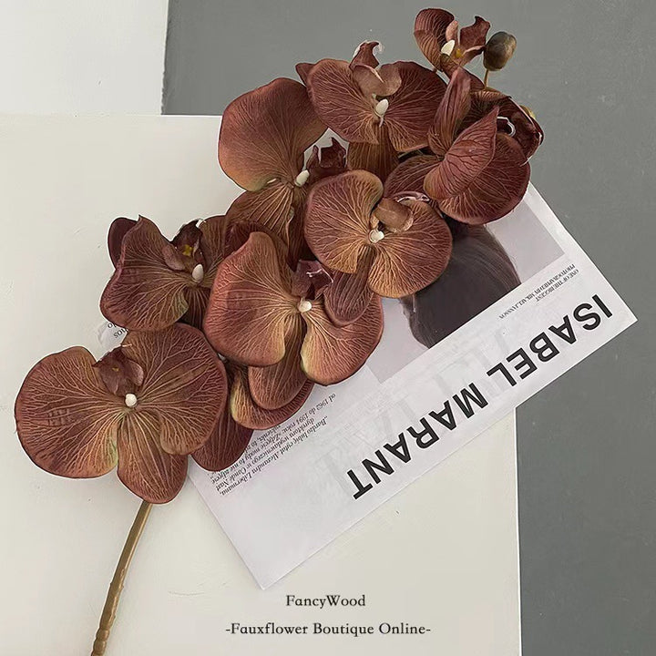 Elegant Orchid Stem