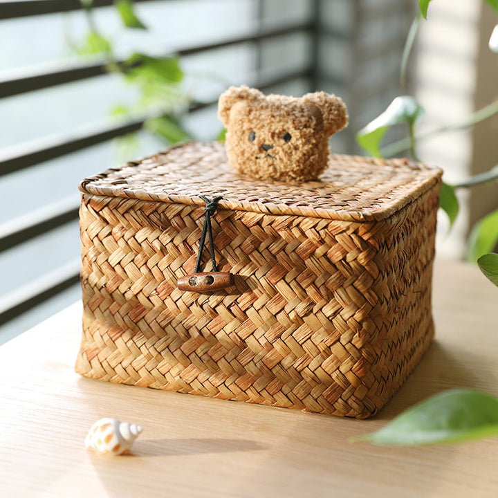 Woven Storage Box with Cute Lid Stornfield
